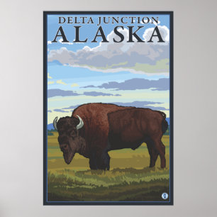 Bison Scene - Delta Junction, Alaska Poster