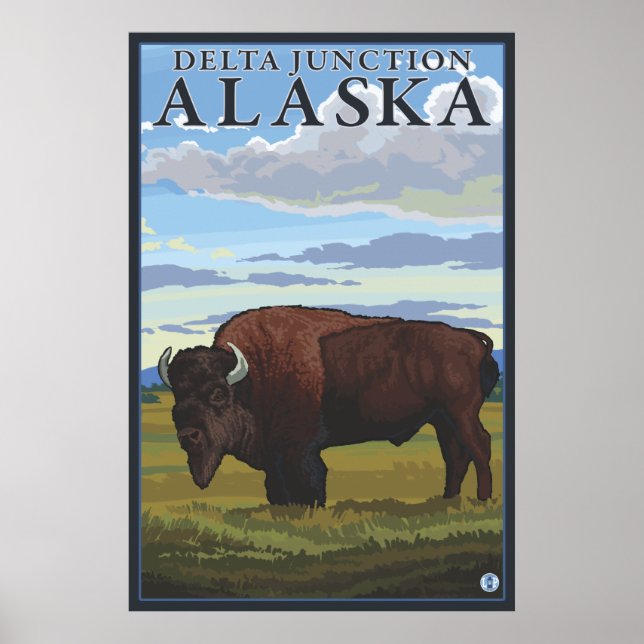 Bison Scene - Delta Junction, Alaska Poster (Vorne)