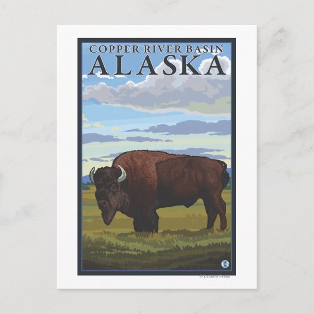Bison Scene - Kupferbecken des Flusses Alaska Postkarte (Vorderseite)