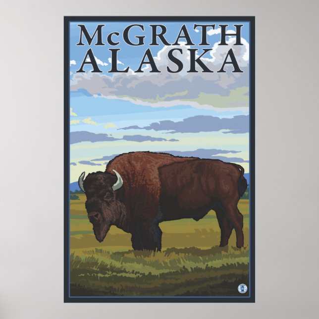 Bison Scene - McGrath, Alaska Poster (Vorne)