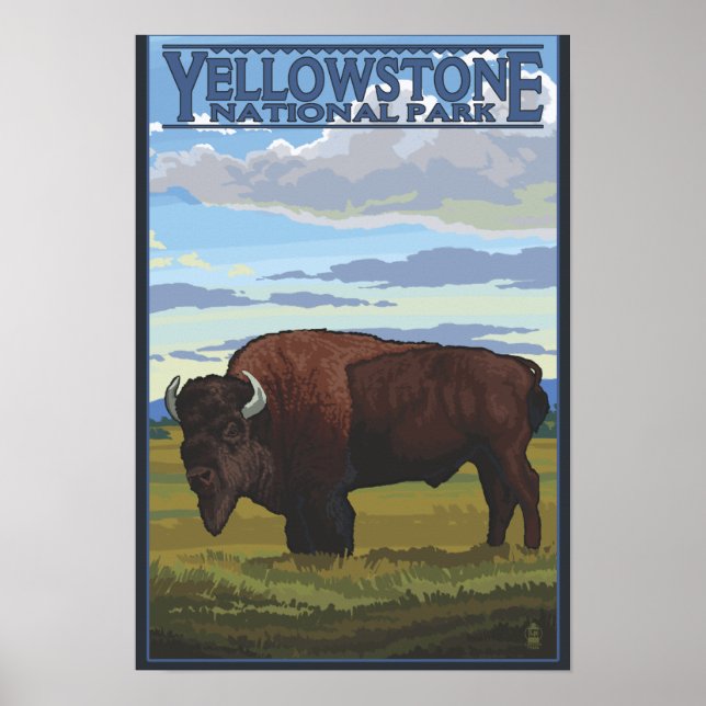 Bison Scene - Yellowstone Nationalpark Poster (Vorne)
