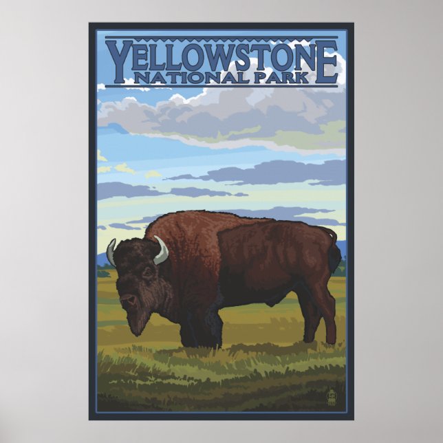 Bison Scene - Yellowstone Nationalpark Poster (Vorne)