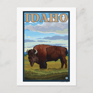 Bison SceneIdahoVintage Travel Poster Postkarte