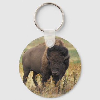 Bison Schlüsselanhänger