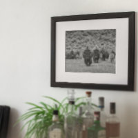 Bison Schwarz-weiß Cabin Farmhouse Style Moderne