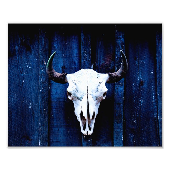 Bison Skull Fotodruck (Vorne)