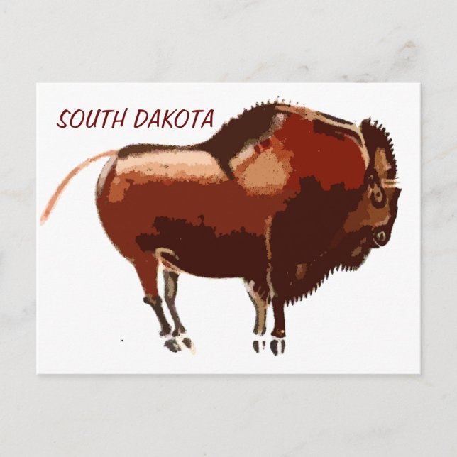 Bison Süd Dakota Postkarte (Vorderseite)