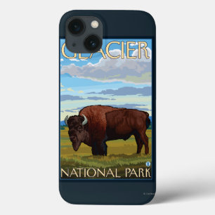Bison-Szene - Glacier Nationalpark, M.Ü. title_seo2