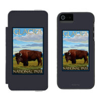 Bison-Szene - Glacier Nationalpark, M.Ü.