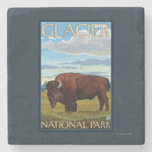 Bison-Szene - Glacier Nationalpark, M.Ü. Steinuntersetzer