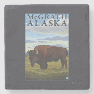 Bison-Szene - McGrath, Alaska Steinuntersetzer
