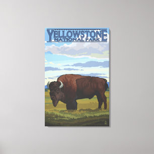 Bison-Szene - Yellowstone Nationalpark Leinwanddruck