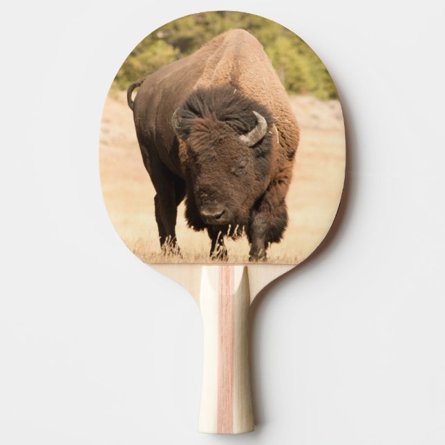 Bison Tischtennis Schläger (Vorderseite)