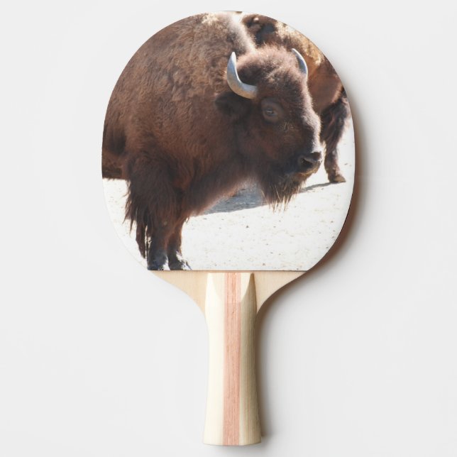 Bison Tischtennis Schläger (Vorderseite)