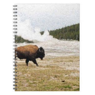 Bison und alt treu notizblock