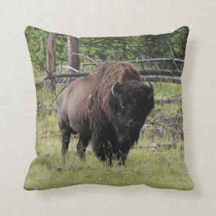 Bison von Yellowstone-Foto Kissen