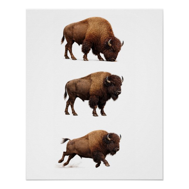 Bison-Wildlife-Wandkunstposter Poster (Vorderseite)