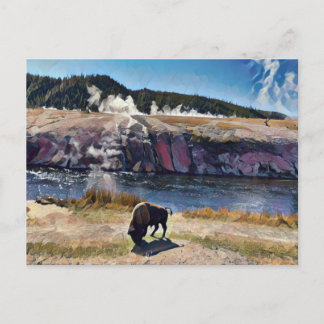Bison Wyoming Yellowstone Naturschutz-Karte Postkarte