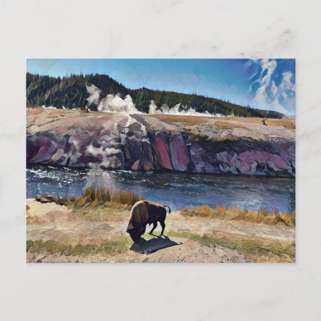 Bison Wyoming Yellowstone Naturschutz-Karte Postkarte (Vorderseite)