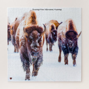 Bison Yellowstone Wyoming Jigsaw Puzzle