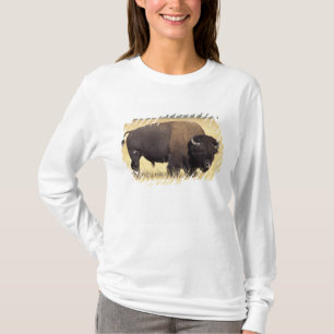 Bisonbulle im Yellowstone National T-Shirt