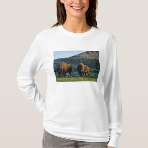 Bisonbullen im Waterton-Lakes-Nationalpark T-Shirt