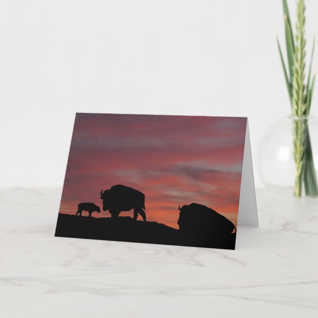Bisonfamilie Karte (Vorderseite)