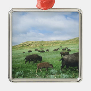 Bisonherde grasen Präriegras bei Theodore Ornament Aus Metall