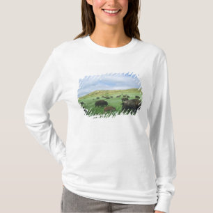 Bisonherde grasen Präriegras bei Theodore T-Shirt