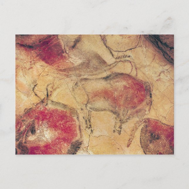 Bisons, aus den Höhlen von Altamira, um 15000 v. C Postkarte (Vorderseite)