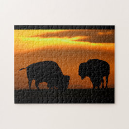 Bisonsonnenuntergang