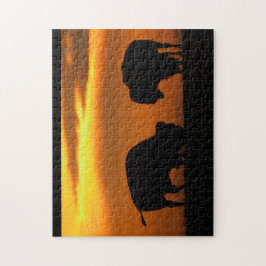Bisonsonnenuntergang