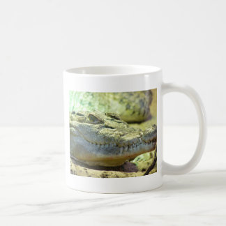 bissig kaffeetasse