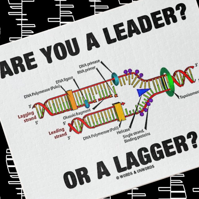 Bist du ein Führer? Oder eine Verzögerung? Geek DN (Solve this jigsaw puzzle with a dose of DNA/molecular biology attitude)
