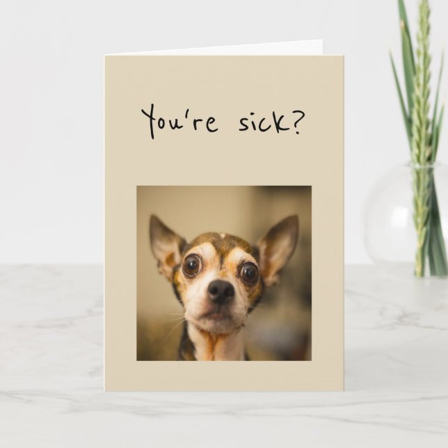 Bist du krank? Noooo wird bald gut Spaß Chihuahua  Karte (Vorderseite)