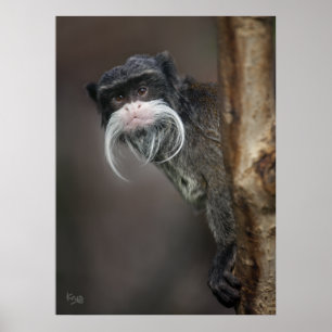 Bist du mein Friseur? Drucken Poster