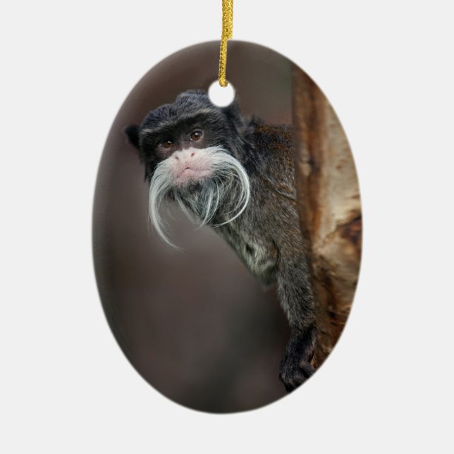 Bist du mein Friseur? Ornament (Vorne)