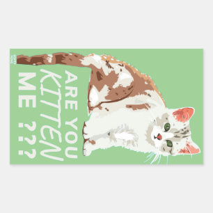 "BIST DU MICH KURZ?" niedliche Katzenjammer Rechteckiger Aufkleber
