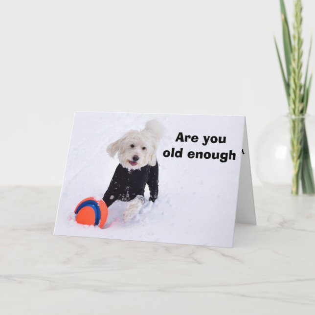 BIST DU NOCH ALT UM HÖRBEIHILFE? KARTE (Vorderseite)