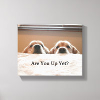 Bist du schon auf? Golden Retriever