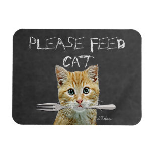 Bitte Füttre Cat Magnet