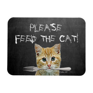 Bitte Füttre die Cat Funny Cat Magnet