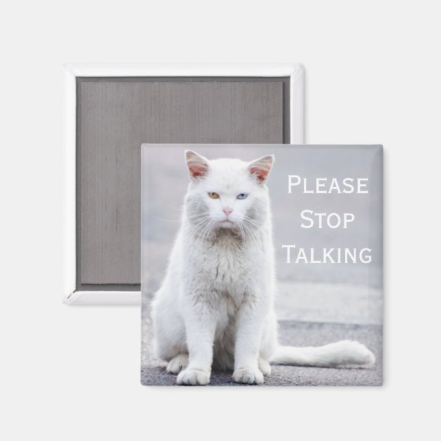 "Bitte hör auf zu reden" Crabby Cats Magnet (Vorderseite/Rückseite)