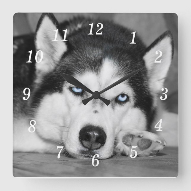 Bitte lass mir schlafen. quadratische wanduhr (Vorderseite)