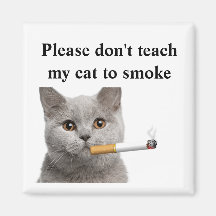 Bitte lehre meine Katze nicht, zu rauchen