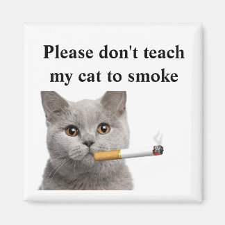 Bitte lehre meine Katze nicht, zu rauchen Magnet