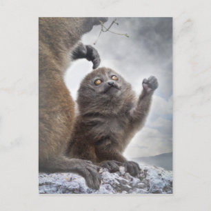 Bitte Mama Postcard Postkarte