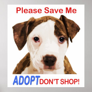 Bitte Rett mir Adoptier, nicht zu kaufen Poster