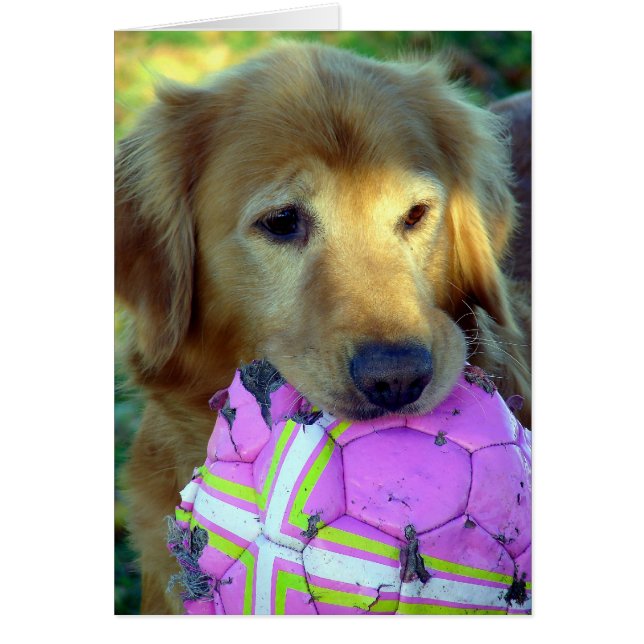 Bitte spielen Sie mit mir (Vorne)