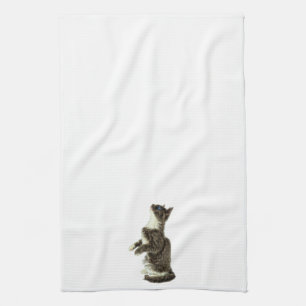 Bitten der grauen u. weißen Katze Handtuch